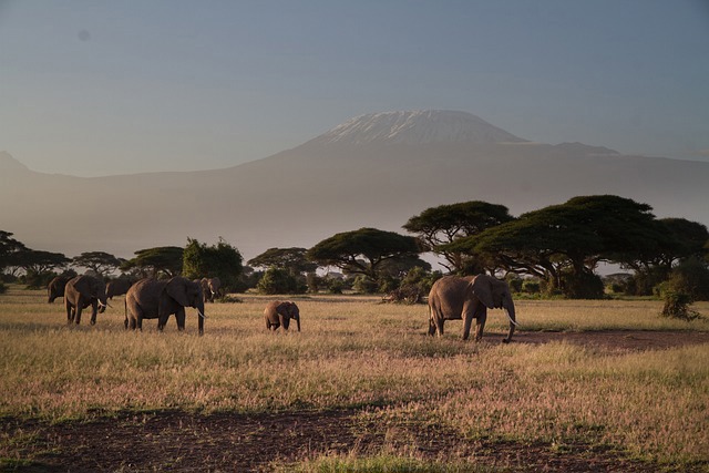 ambolisi national park