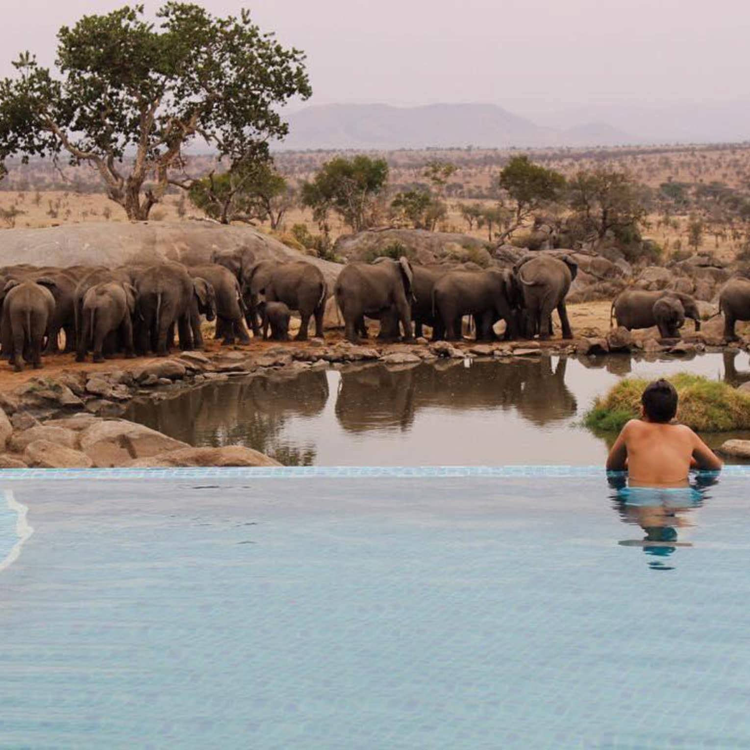 Serengeti Four Seasons Tanzania Luxury Safari