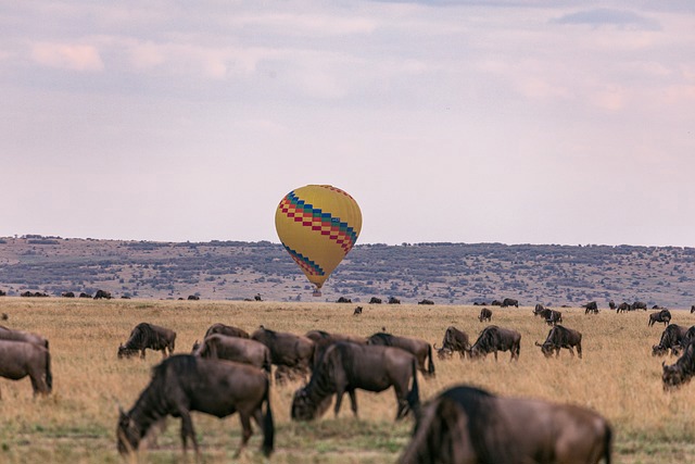 Masai Maara Kenya luxury safari