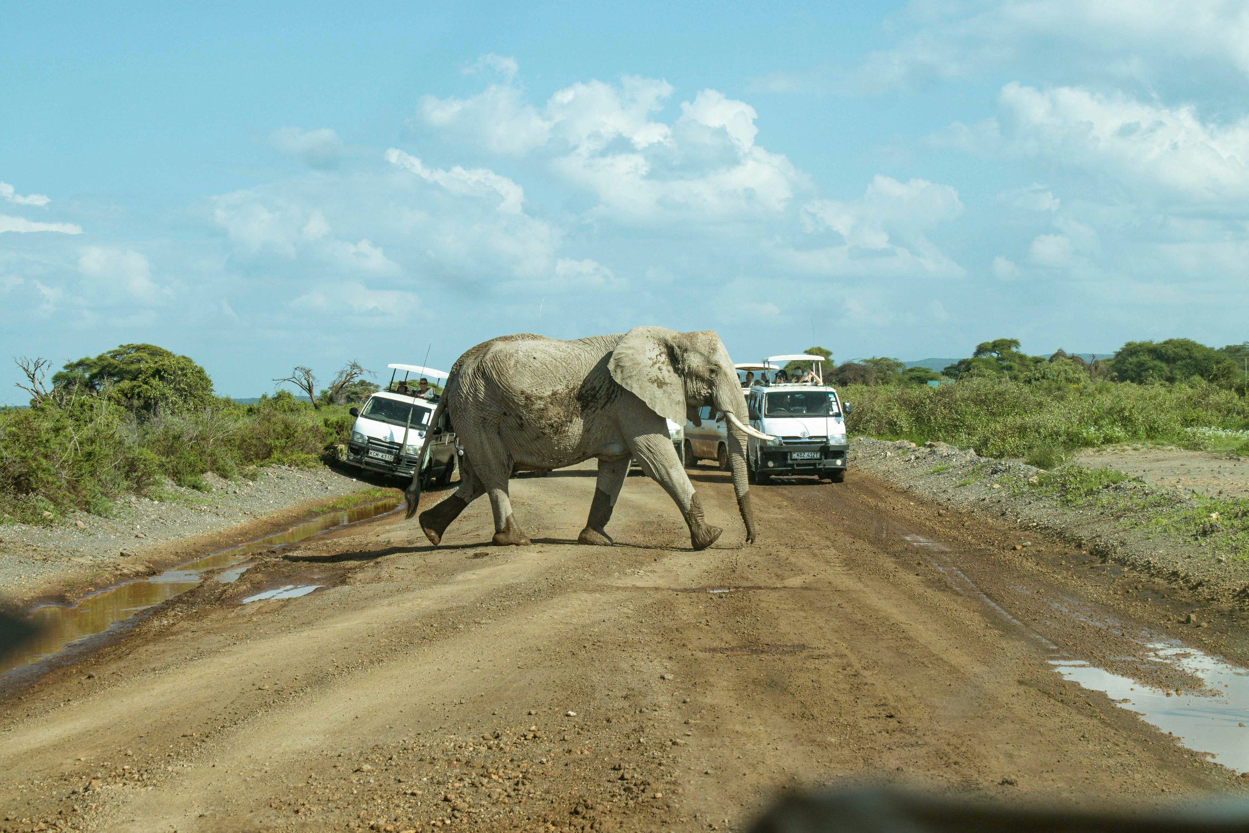 AMOSEILI NATIONAL PARK