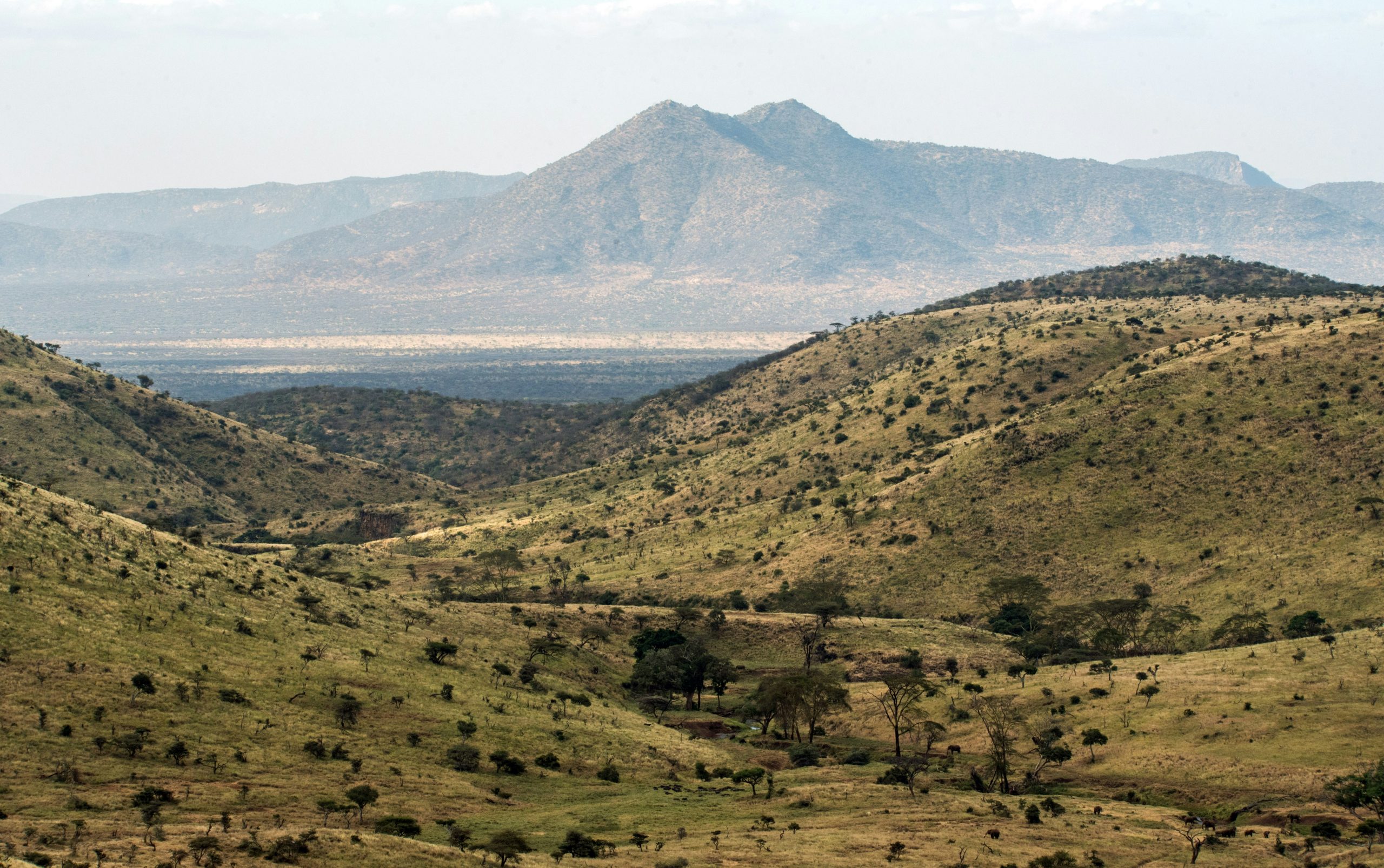 Samburu National Reserve