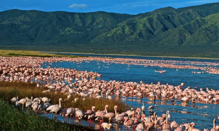 lake-elmenteita-southern-rift-valley-2-750x450